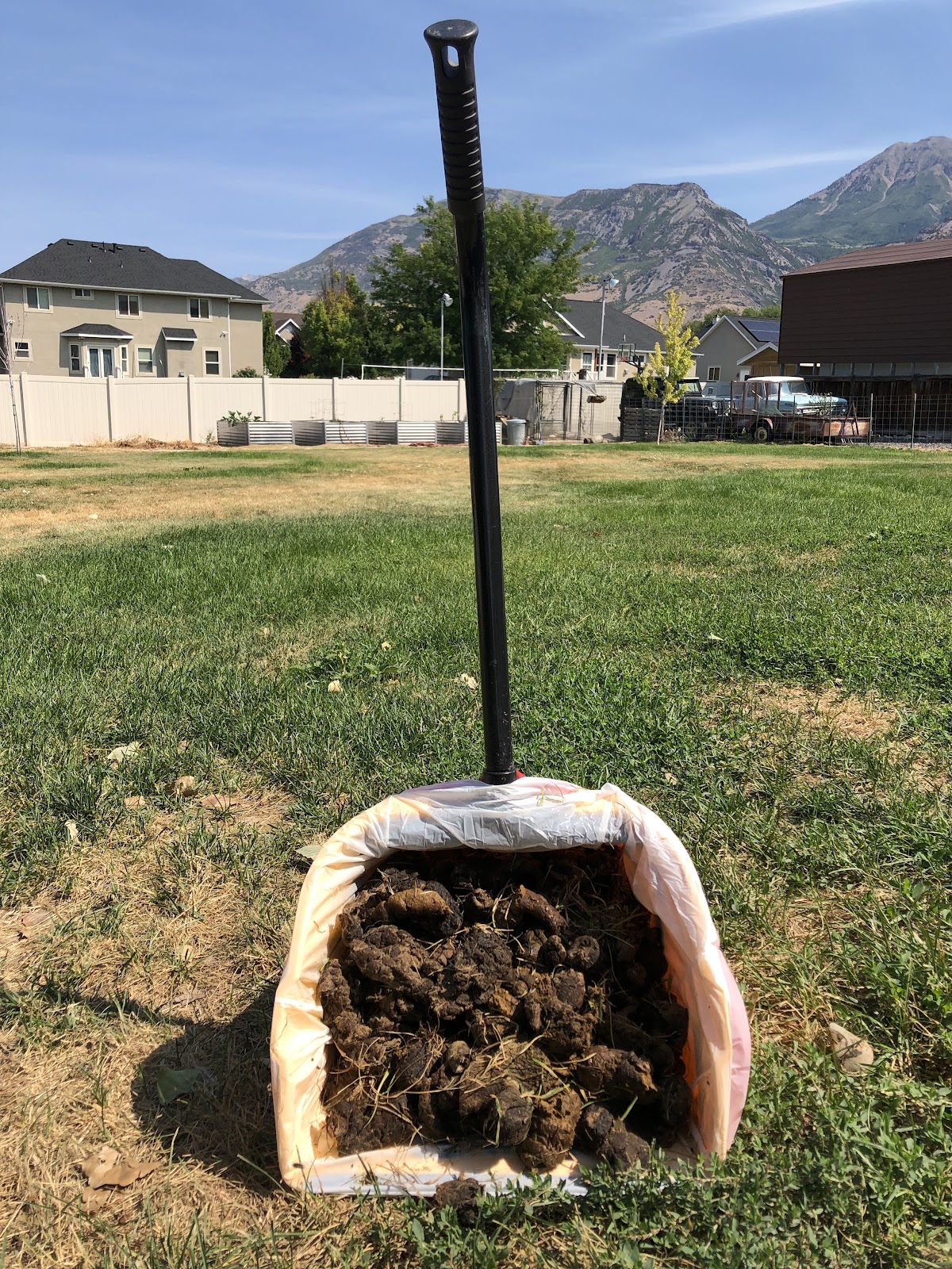 Waggy Scoop Dog Poop Removal - Photo 4