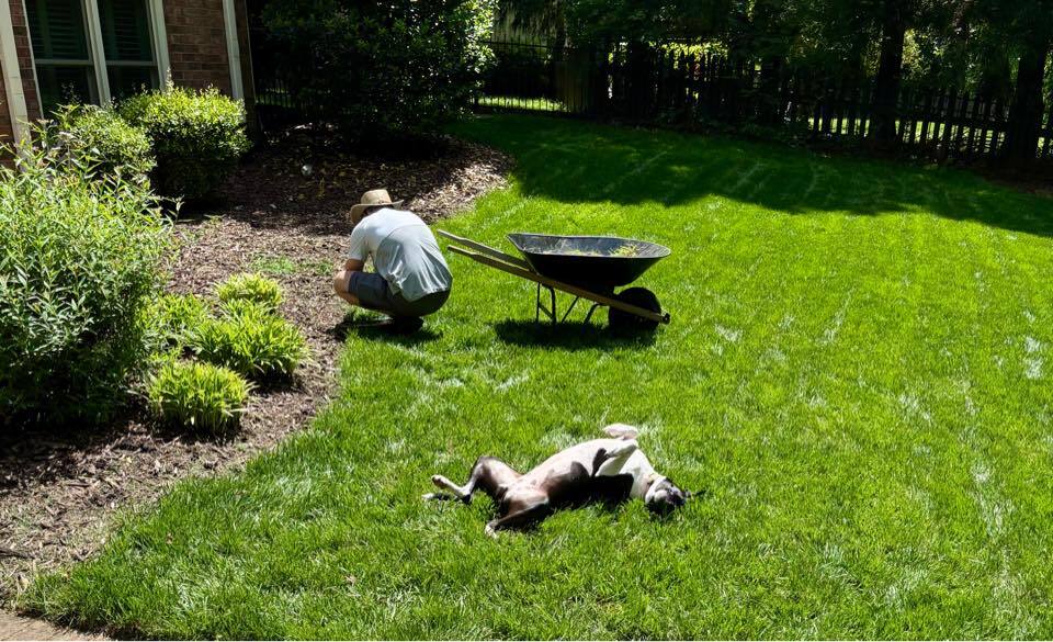 Cooper's Scoopers - Photo 2