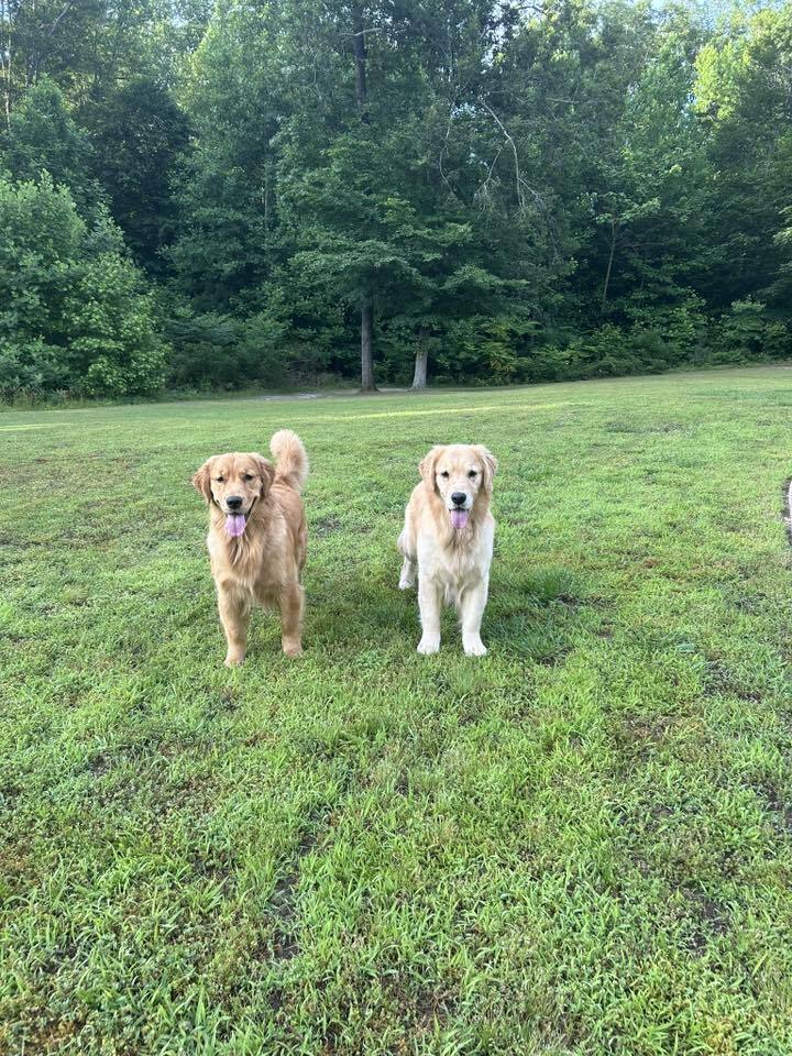 Cooper's Scoopers - Photo 3