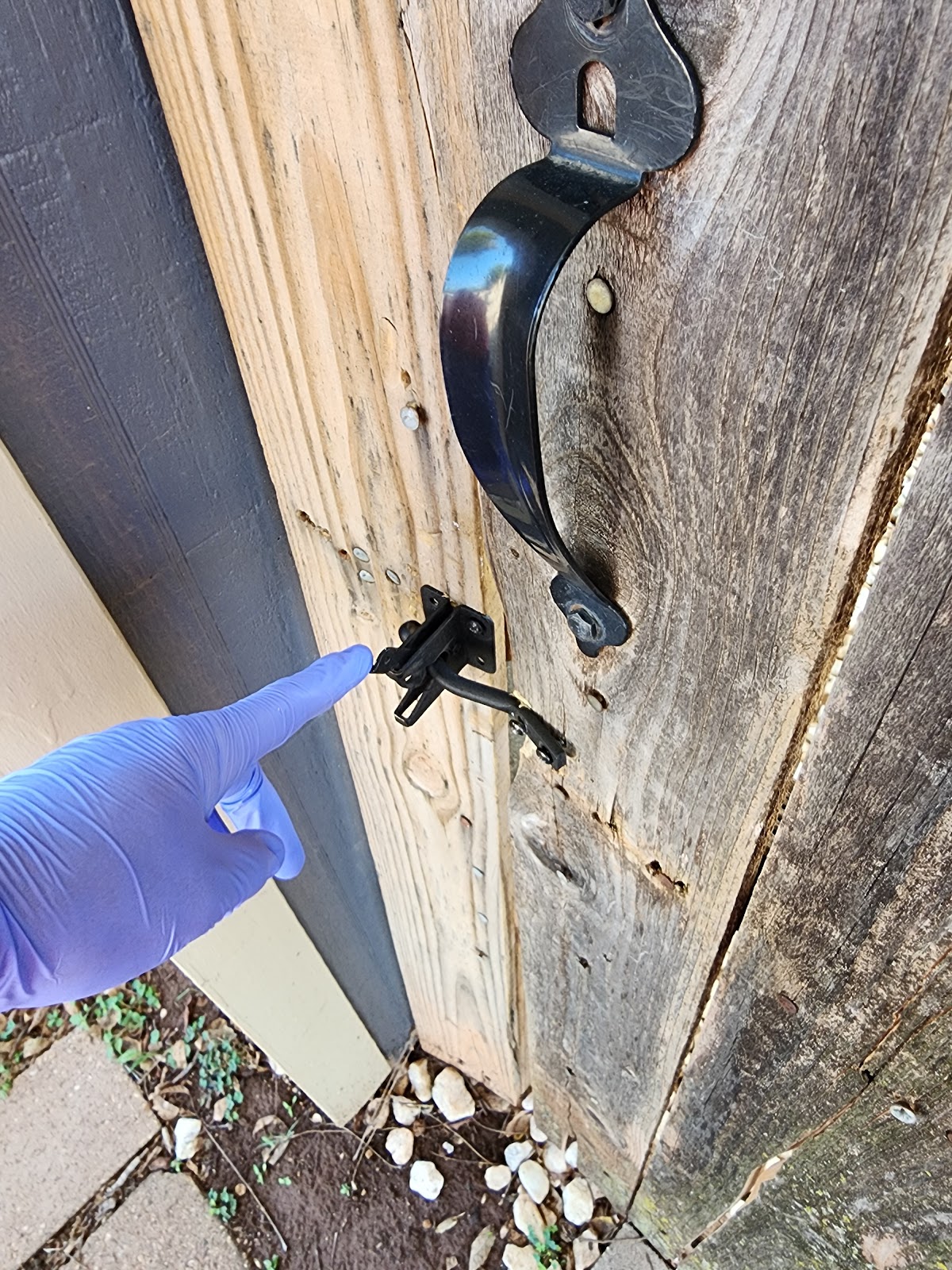 Doo Dads Pet Waste Service