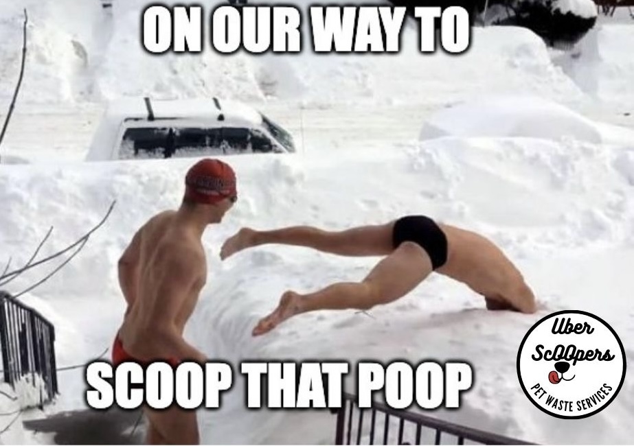 Uber Scoopers Pet Waste Service - Photo 2