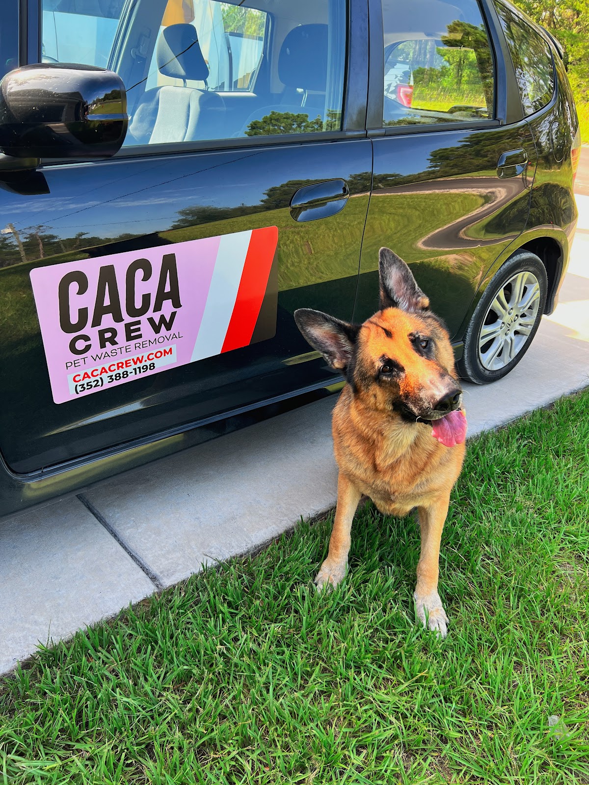 Caca Crew Pet Waste Removal