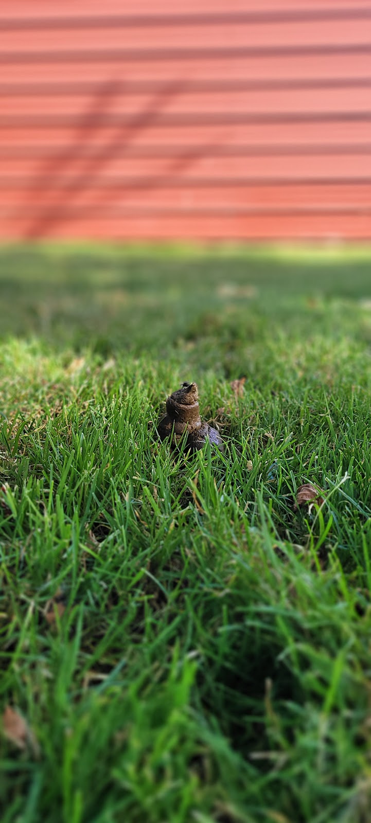 Scoop Waste Management - Photo 2