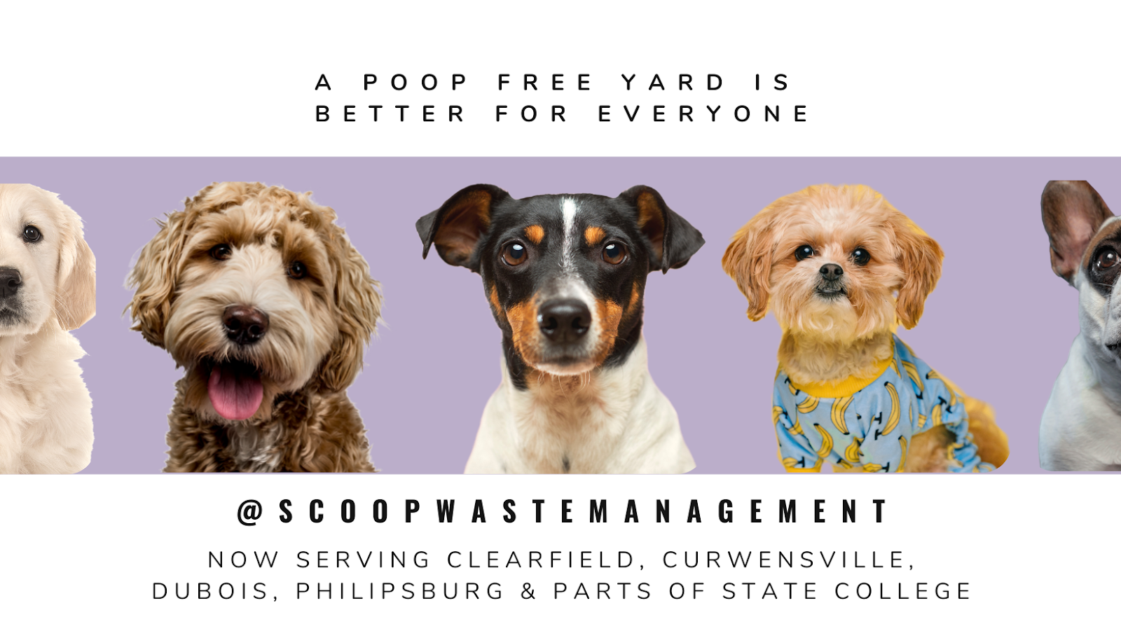 Scoop Waste Management - Photo 3