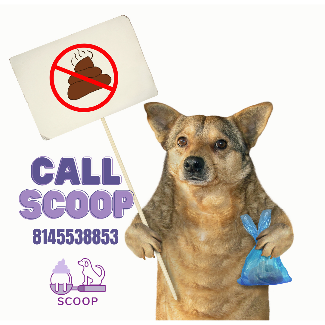 Scoop Waste Management - Photo 4