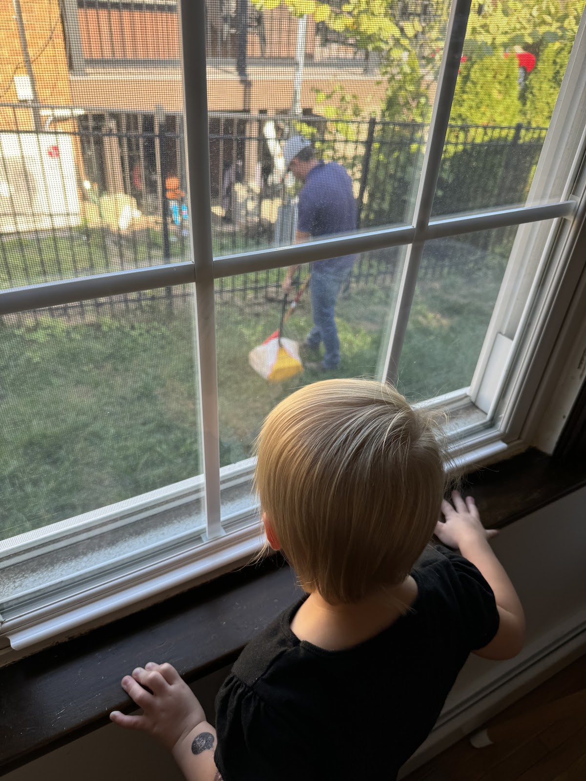 Wrigley & Clark's Pet Waste Removal