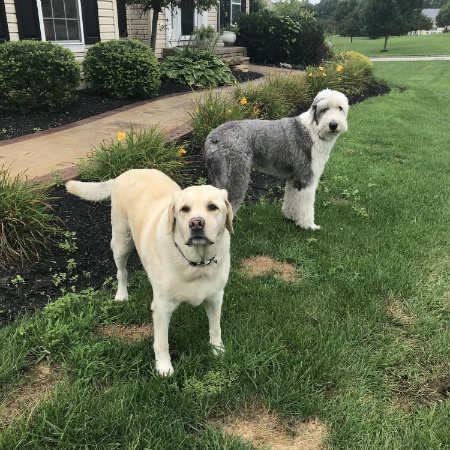 Big Business Scoopers of NJ, LLC - Photo 3