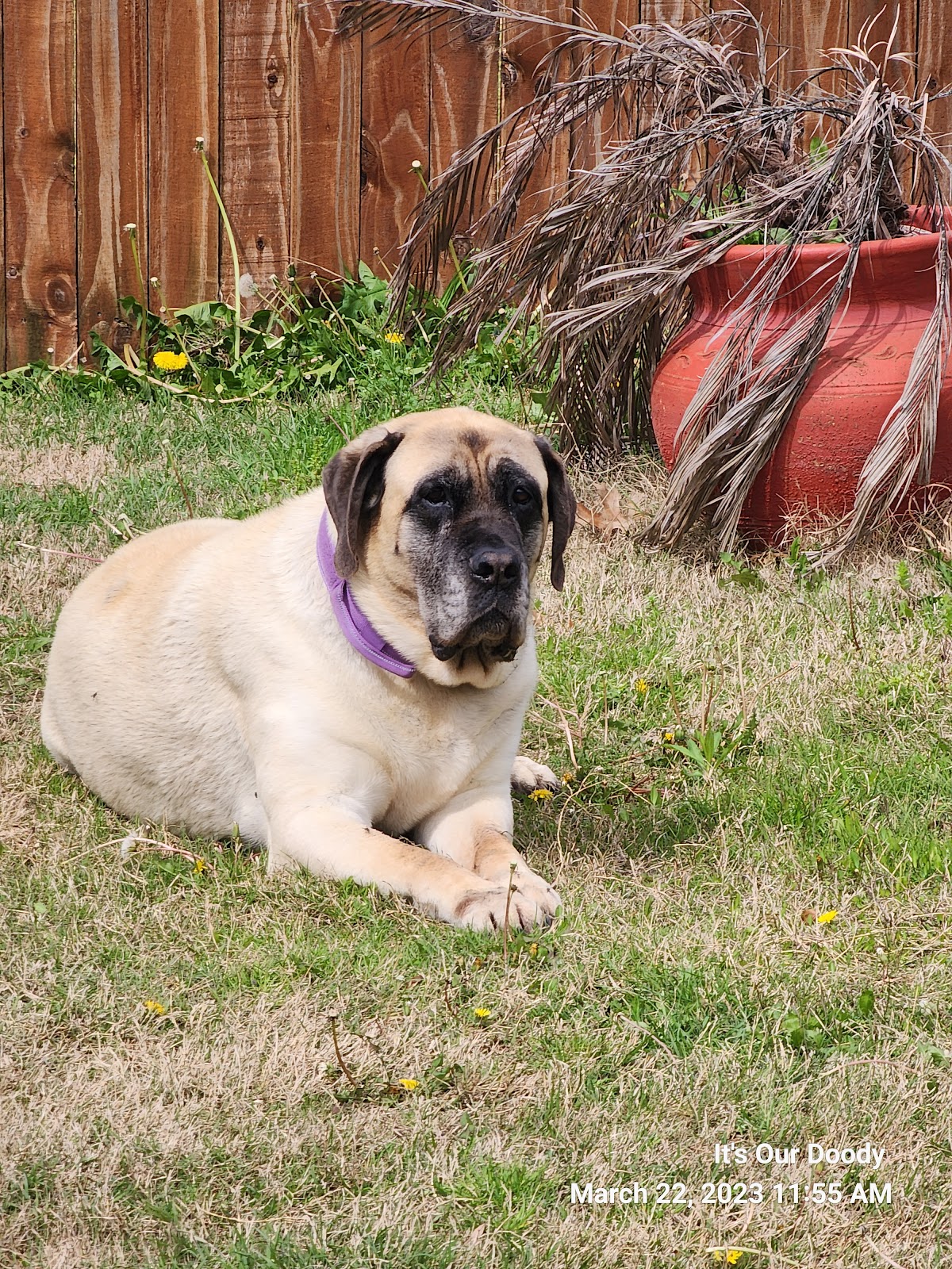 It's Our Doody - Photo 4