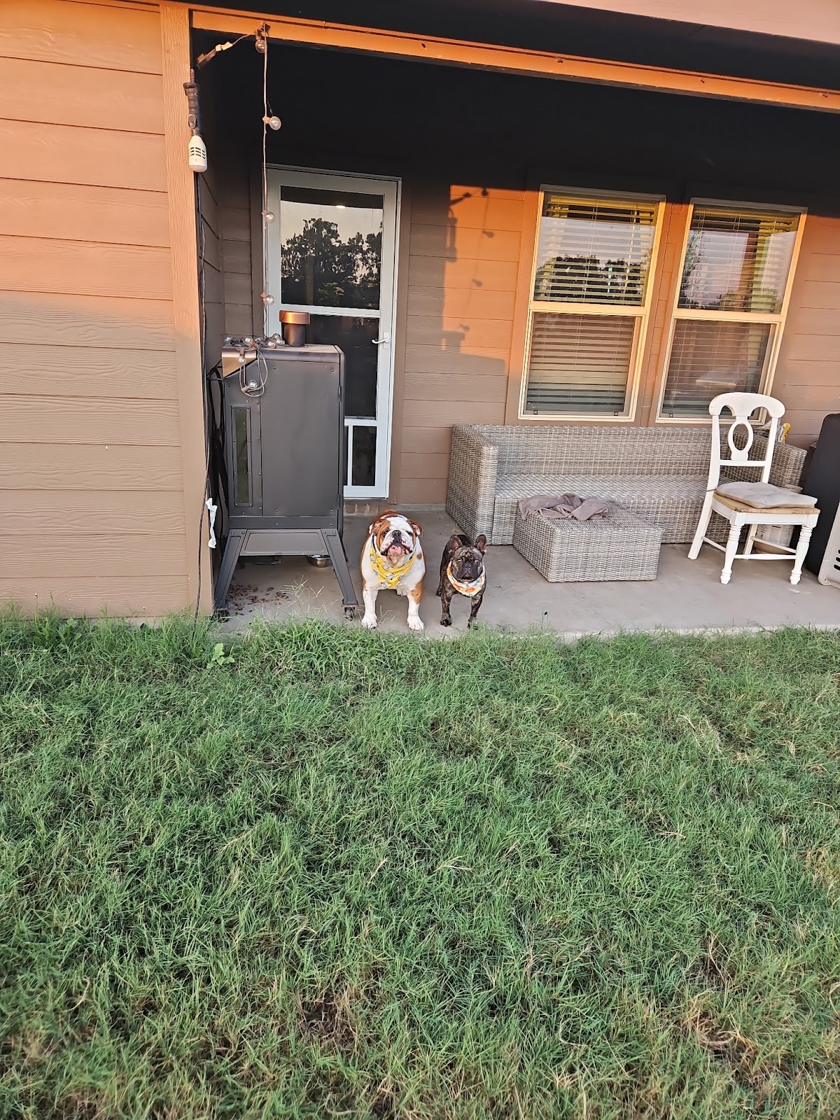 Pet Patties LLC: Pet Waste Removal