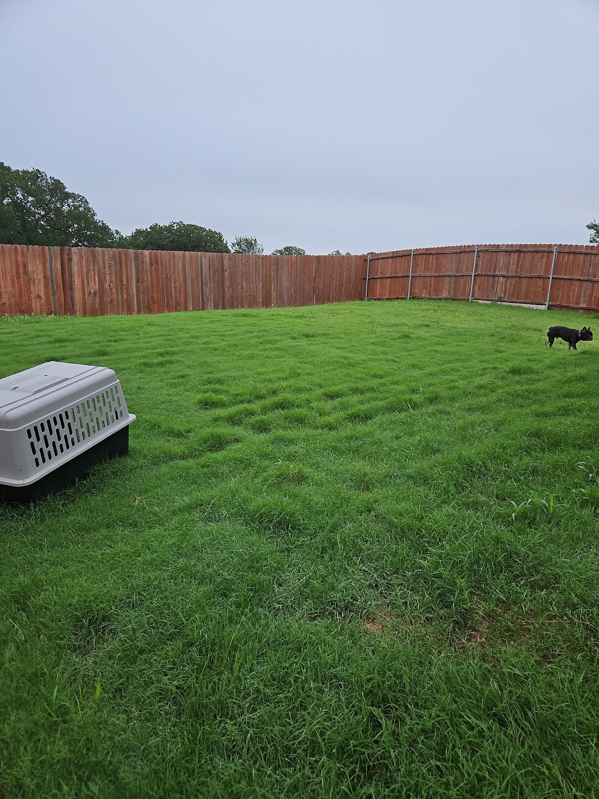 Pet Patties LLC: Pet Waste Removal - Photo 2