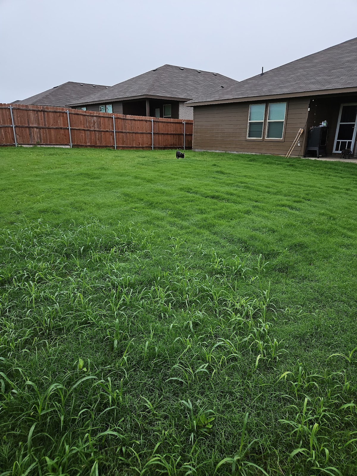 Pet Patties LLC: Pet Waste Removal - Photo 3