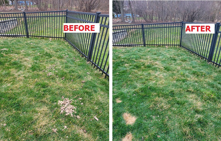 The Scoop Master - Photo 2