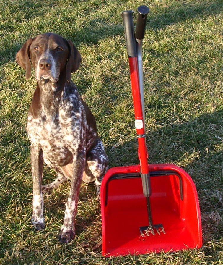 We Scoop 4 U Pet Waste Removal