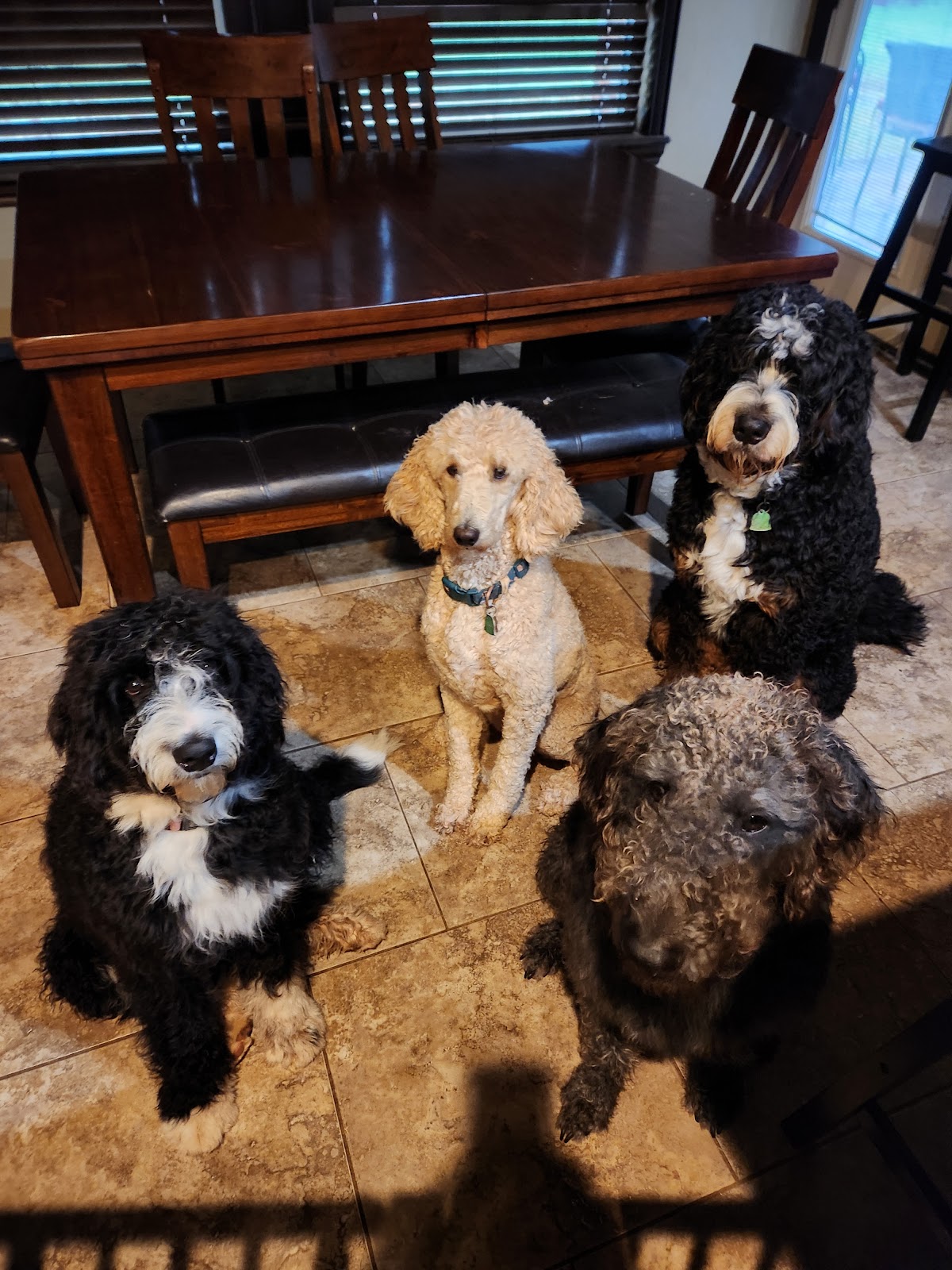 POOP 911 OKC South - Photo 2