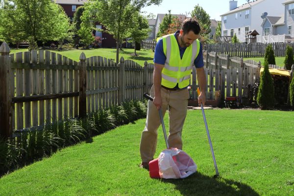 K9 Clean Space - Photo 2