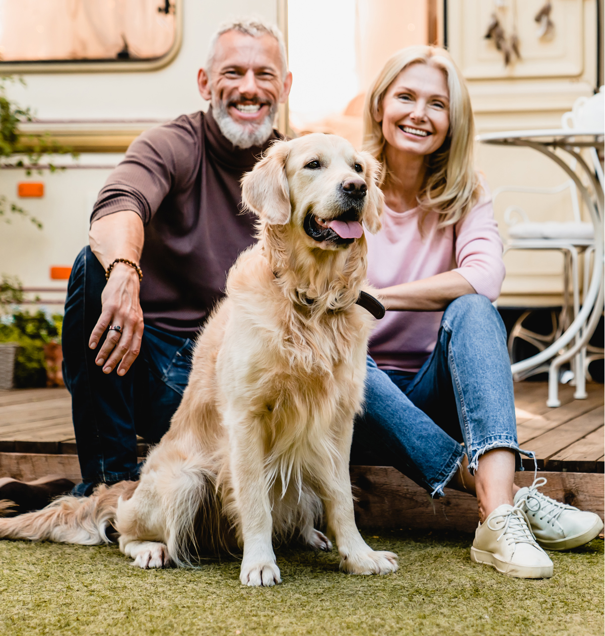 K9 Clean Space - Photo 3