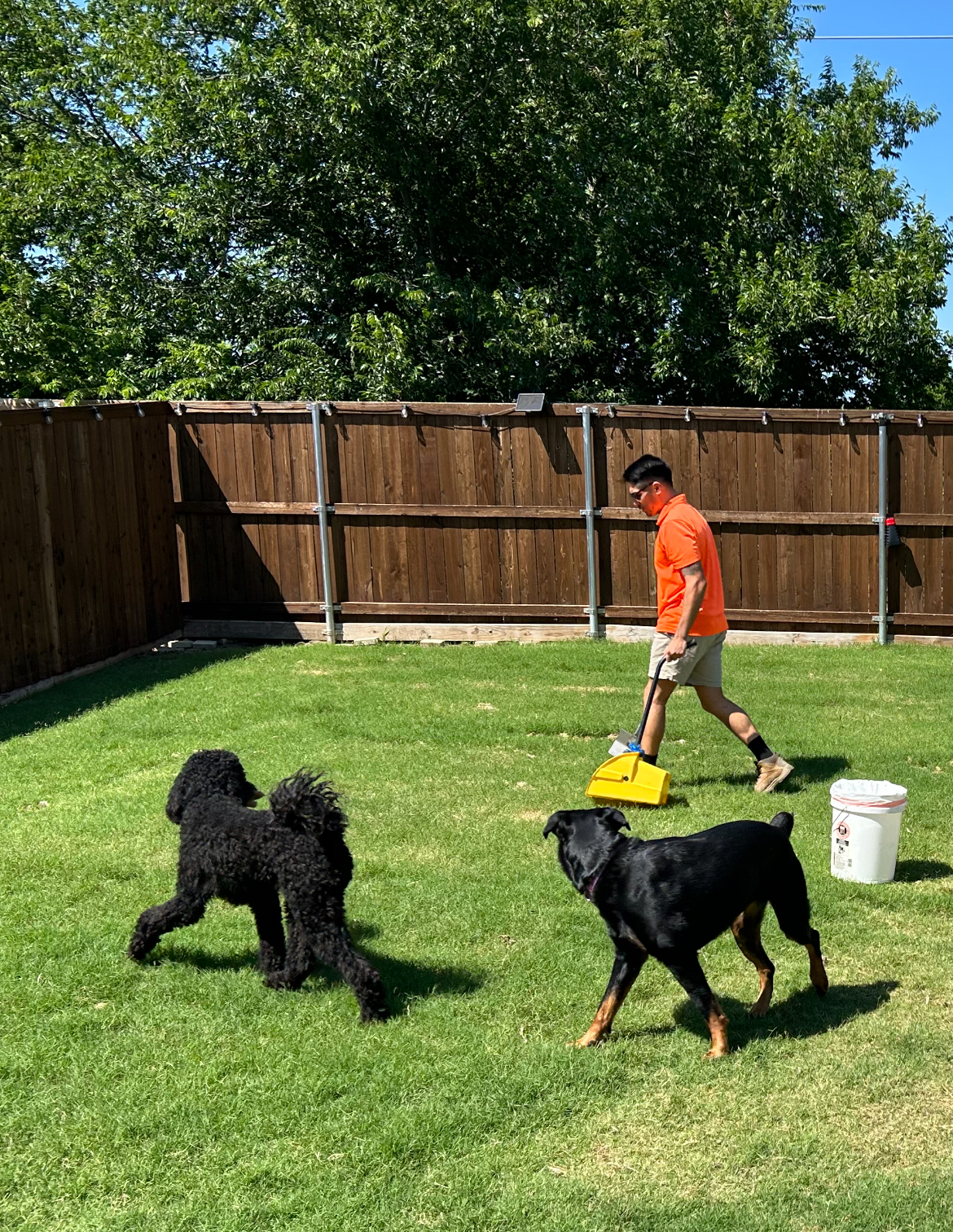 Scoop Masters Austin - Photo 2