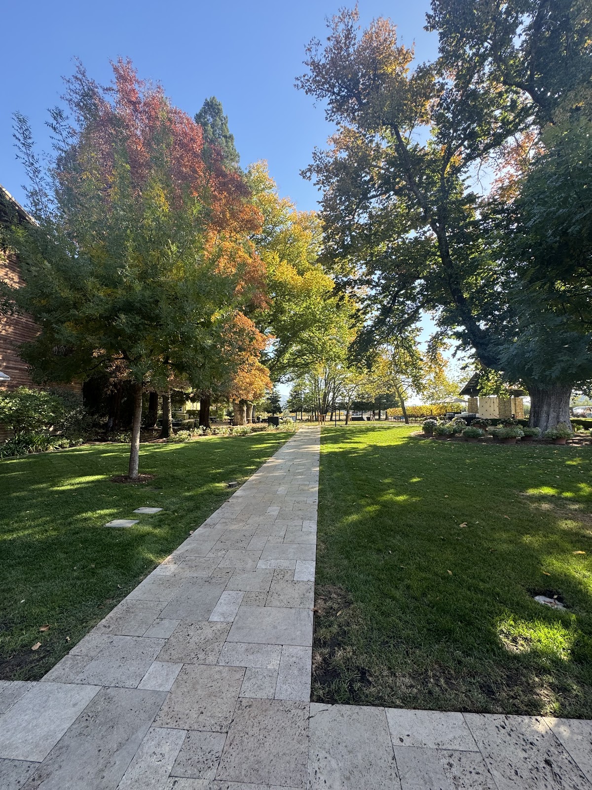 Chicago Dog Poop Removal