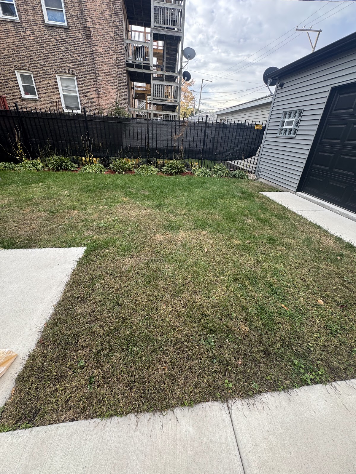 Chicago Dog Poop Removal - Photo 2