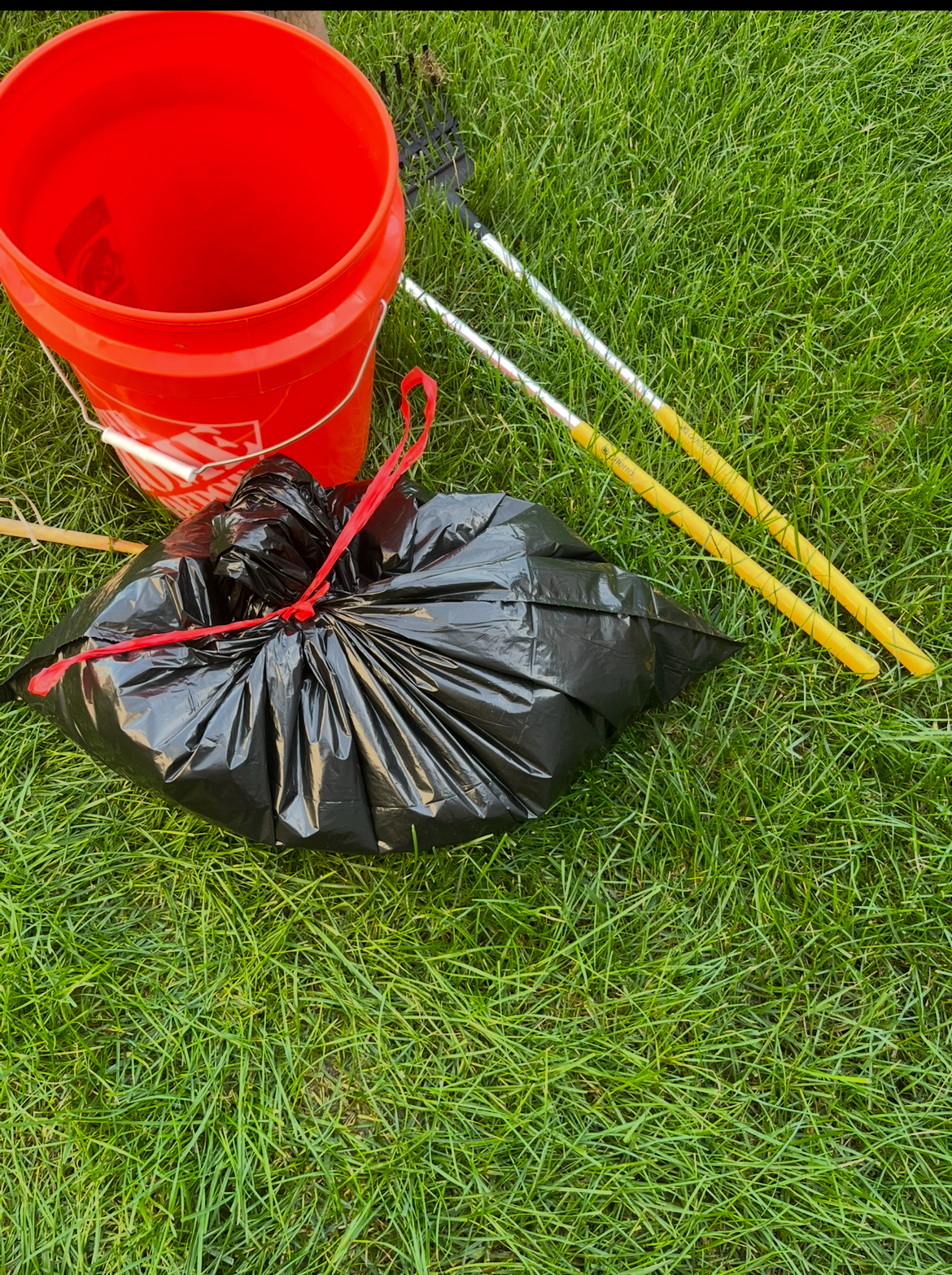 CJ Scoops - Dog Waste Removal - Photo 3