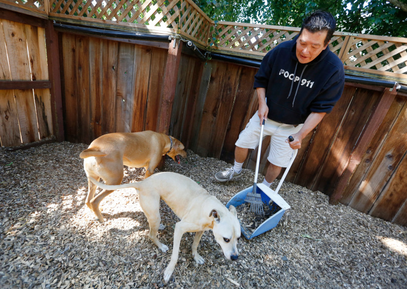 POOP 911 North Bay - Photo 2