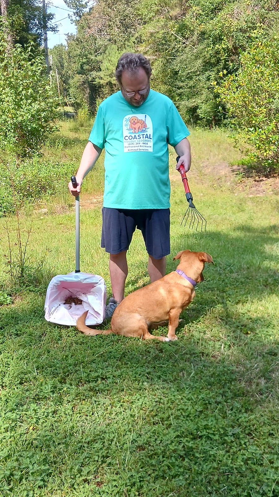 Coastal Doodle Scoopers