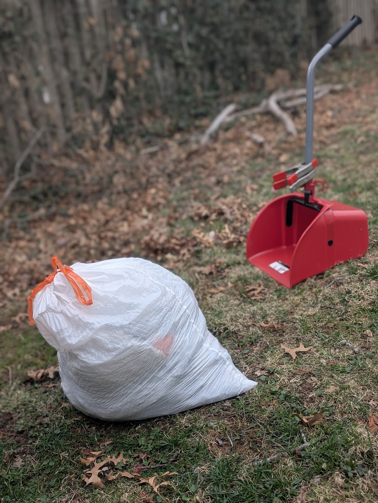 Scoop & Clear - Photo 2