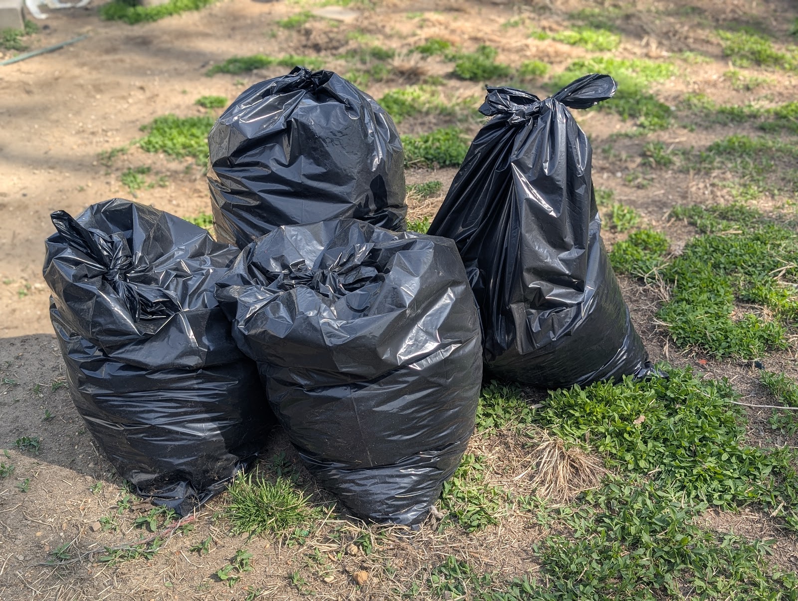 Scoop & Clear - Photo 3