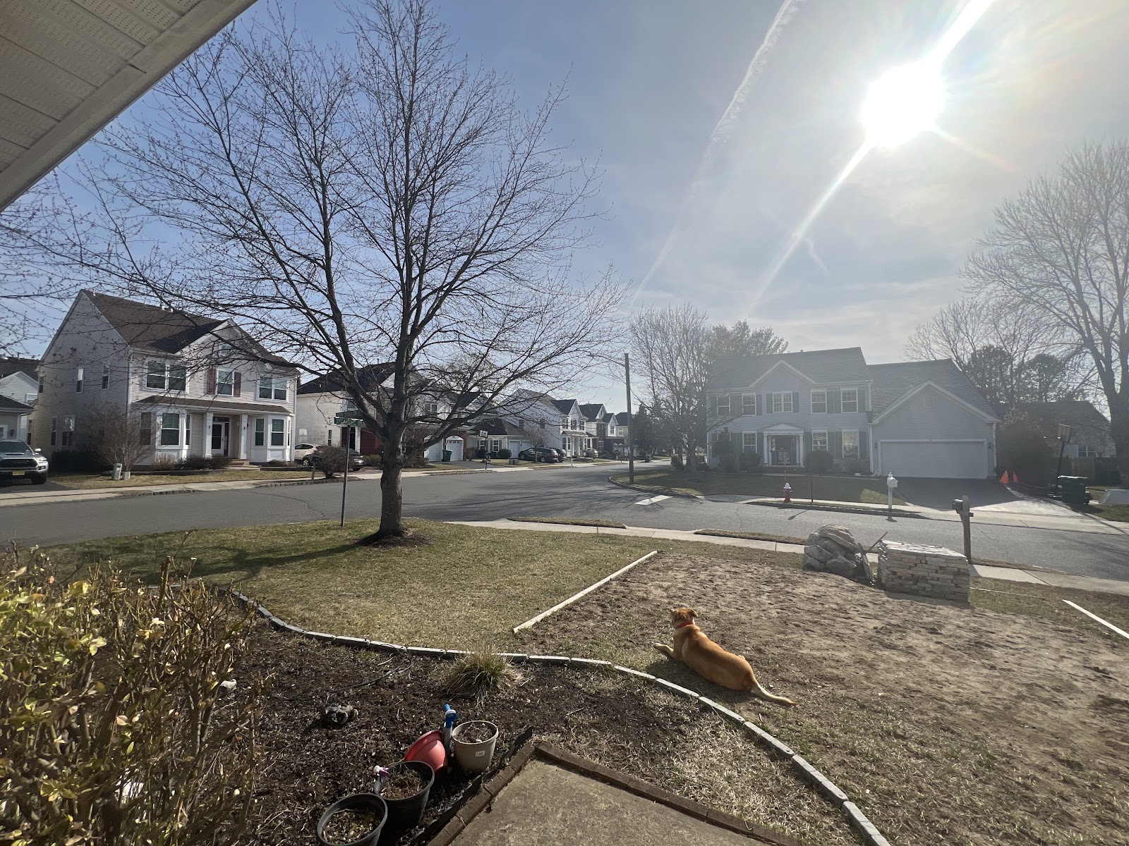 Scoop & Clear - Photo 4