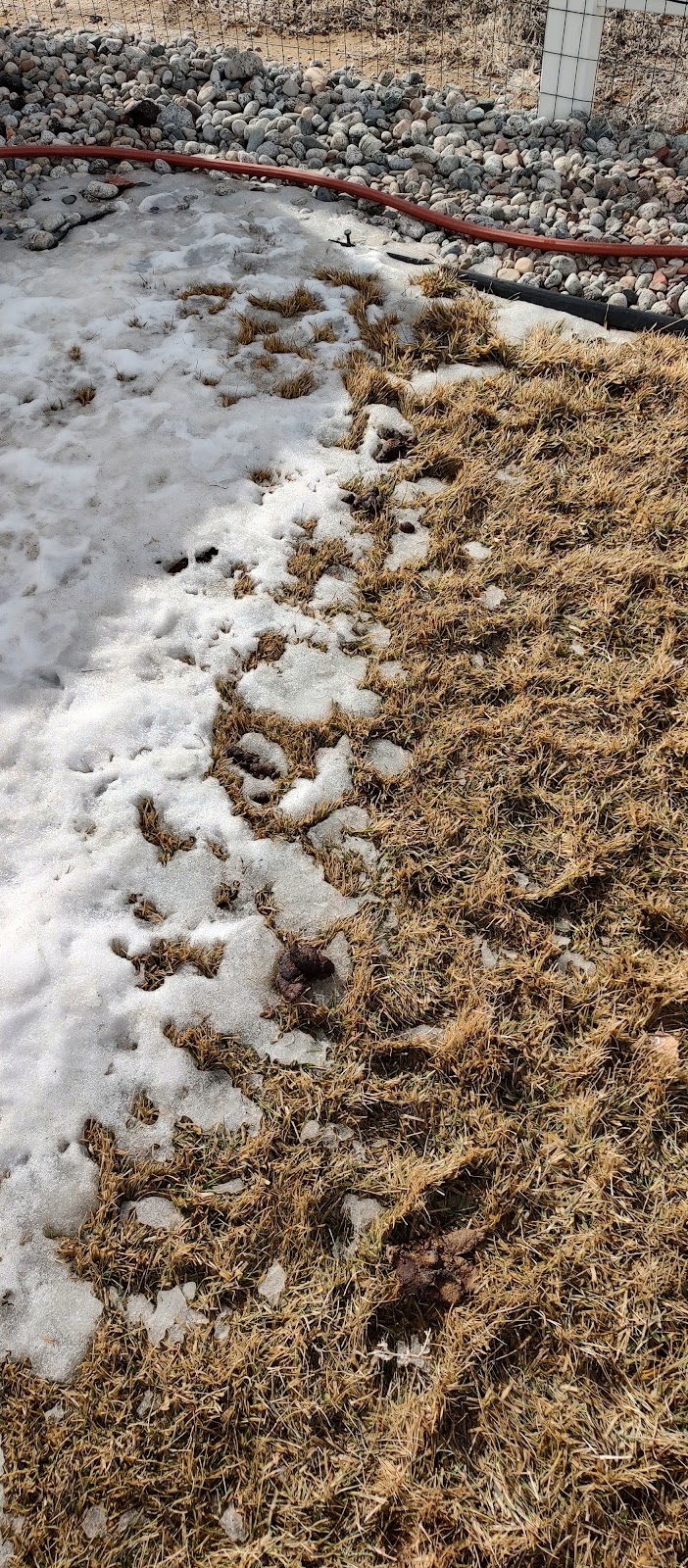 POOP 911 Northern Colorado - Photo 3