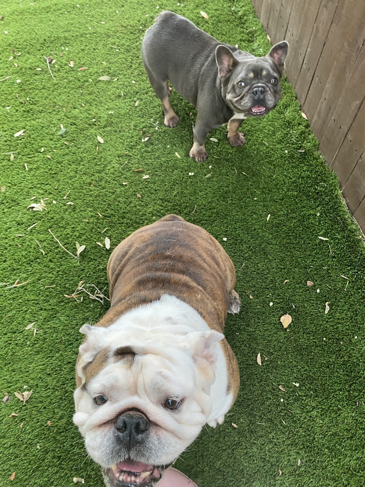 Scoop Soldiers - Atlanta - Photo 3