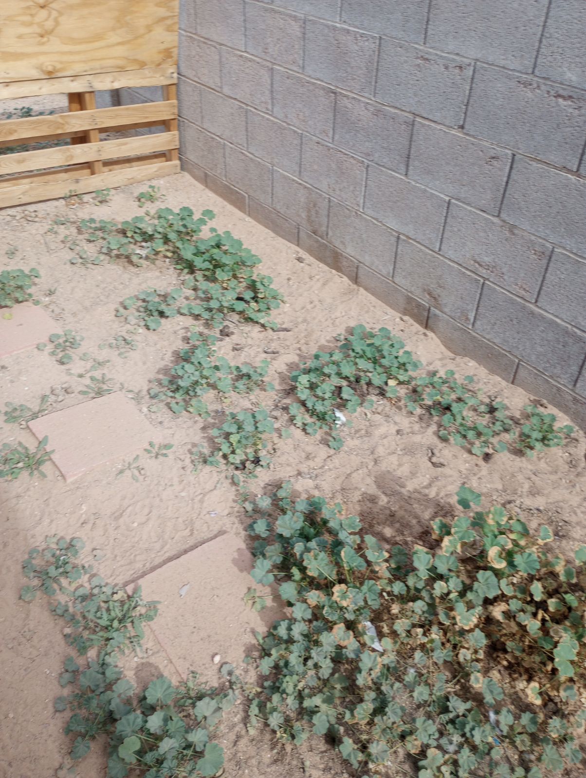 A1 PET Waste Maintenance - Photo 3