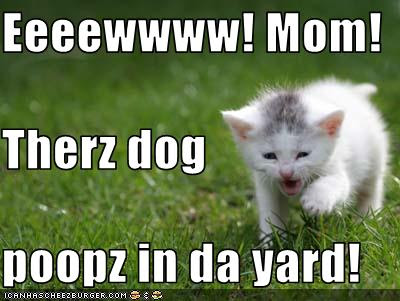 Poopie Palz - Photo 2