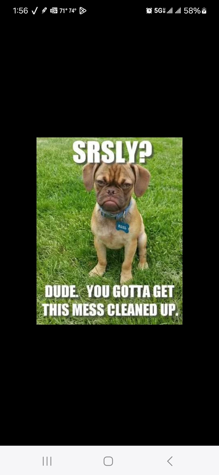 Scoop-Zilla - Photo 4