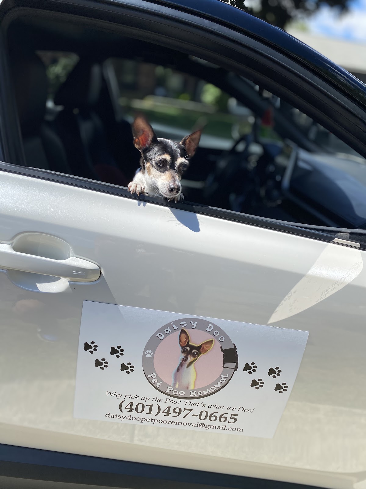 Daisy Doo Pet Poo Removal - Photo 4