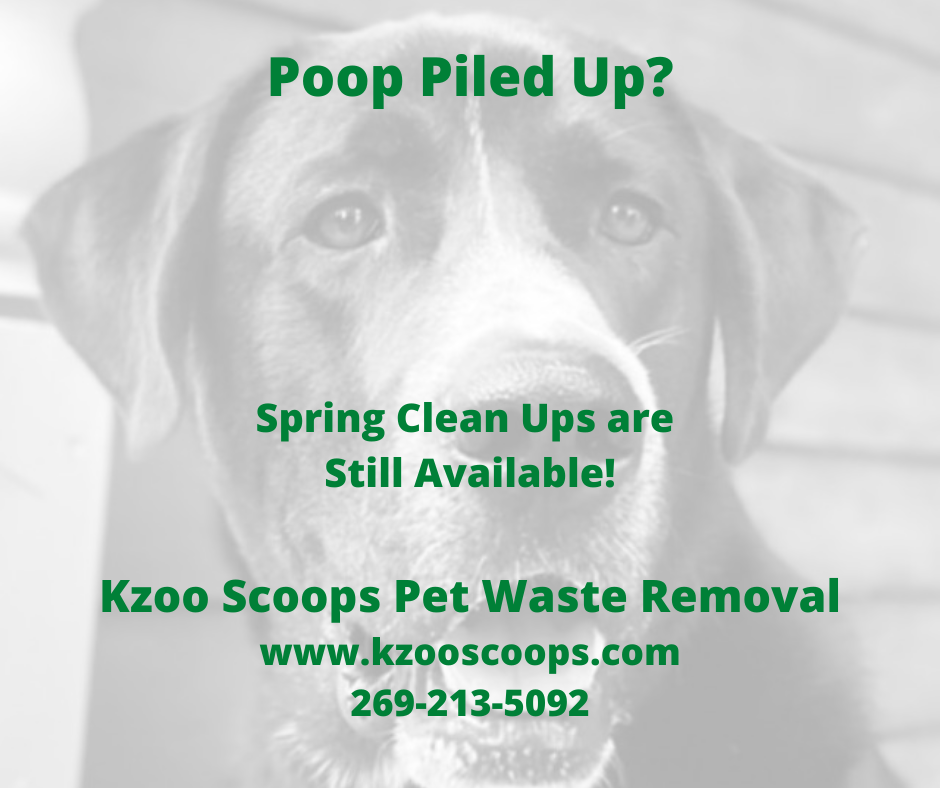 Kzoo Scoops Pet Waste Management