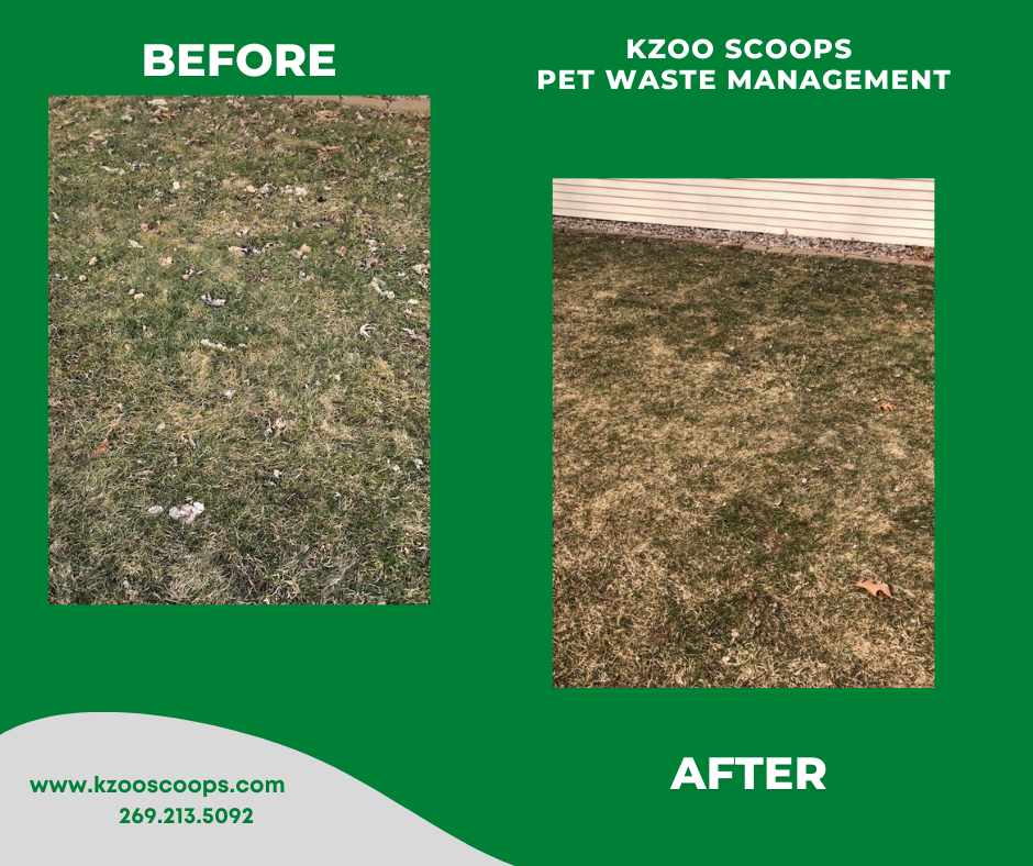 Kzoo Scoops Pet Waste Management - Photo 3