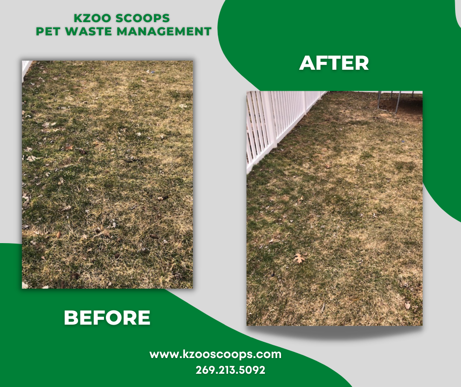 Kzoo Scoops Pet Waste Management - Photo 4