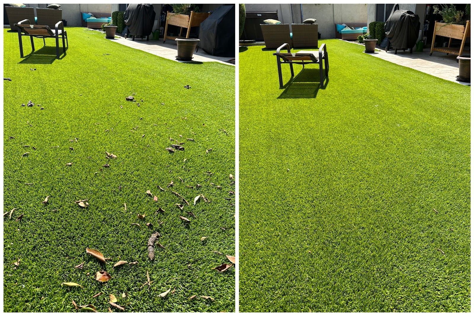 Boop N' Scoop - Pet Waste Removal Services