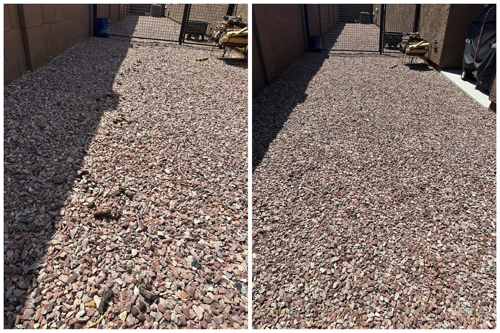 Boop N' Scoop - Pet Waste Removal Services - Photo 4