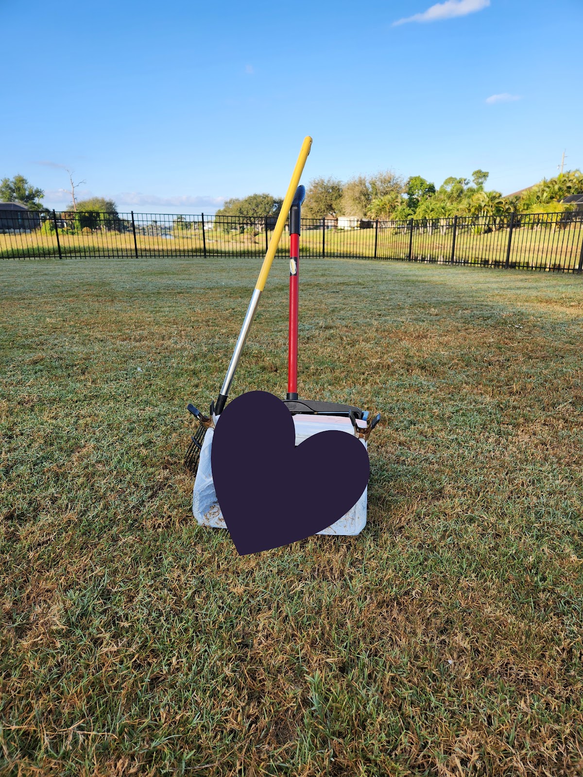 Pooped Scoop - Photo 3