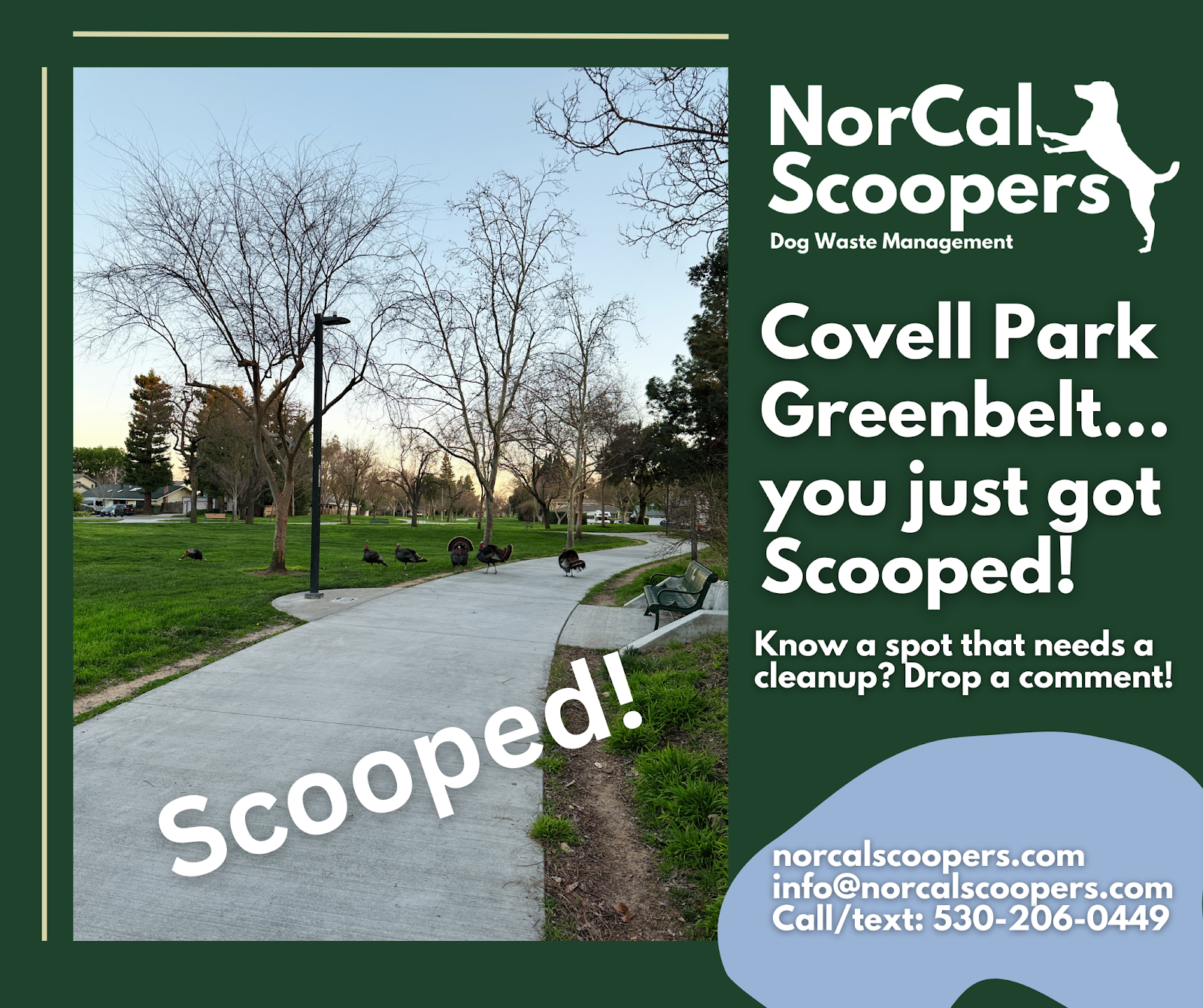 NorCal Scoopers - Photo 3