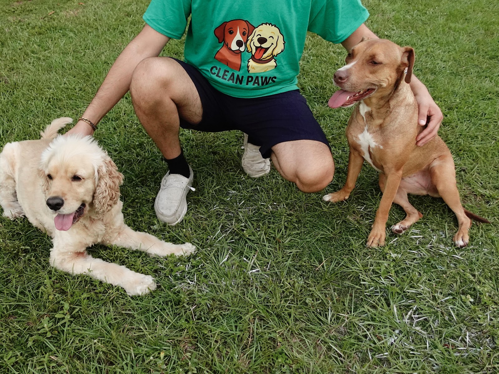 Legacy clean paws - Dog waste removal