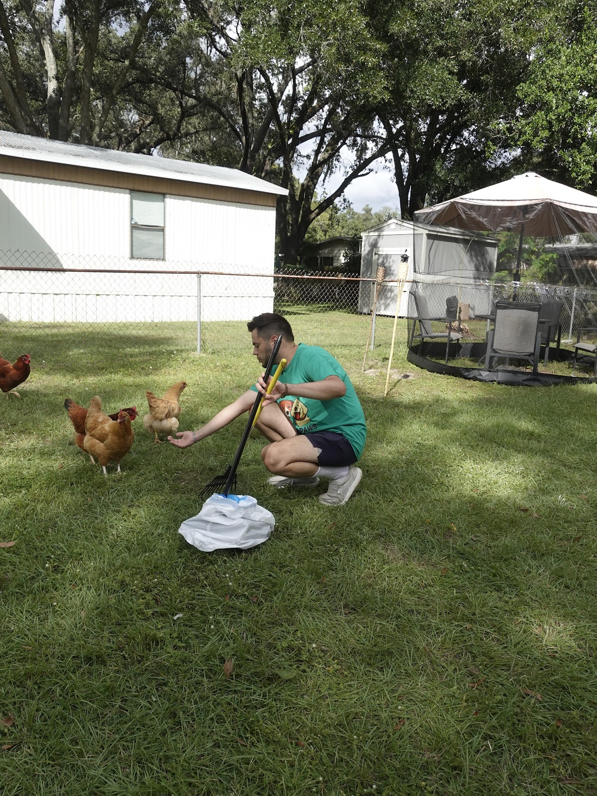 Legacy clean paws - Dog waste removal - Photo 2