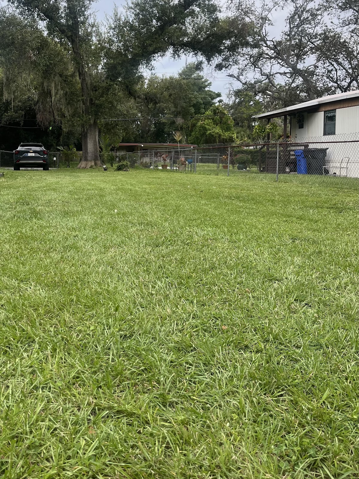 Legacy clean paws - Dog waste removal - Photo 3