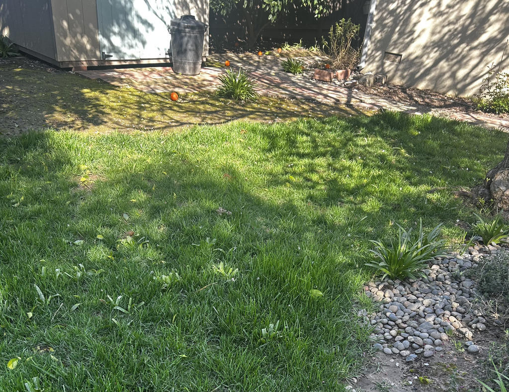 Scooper Squad - Photo 3