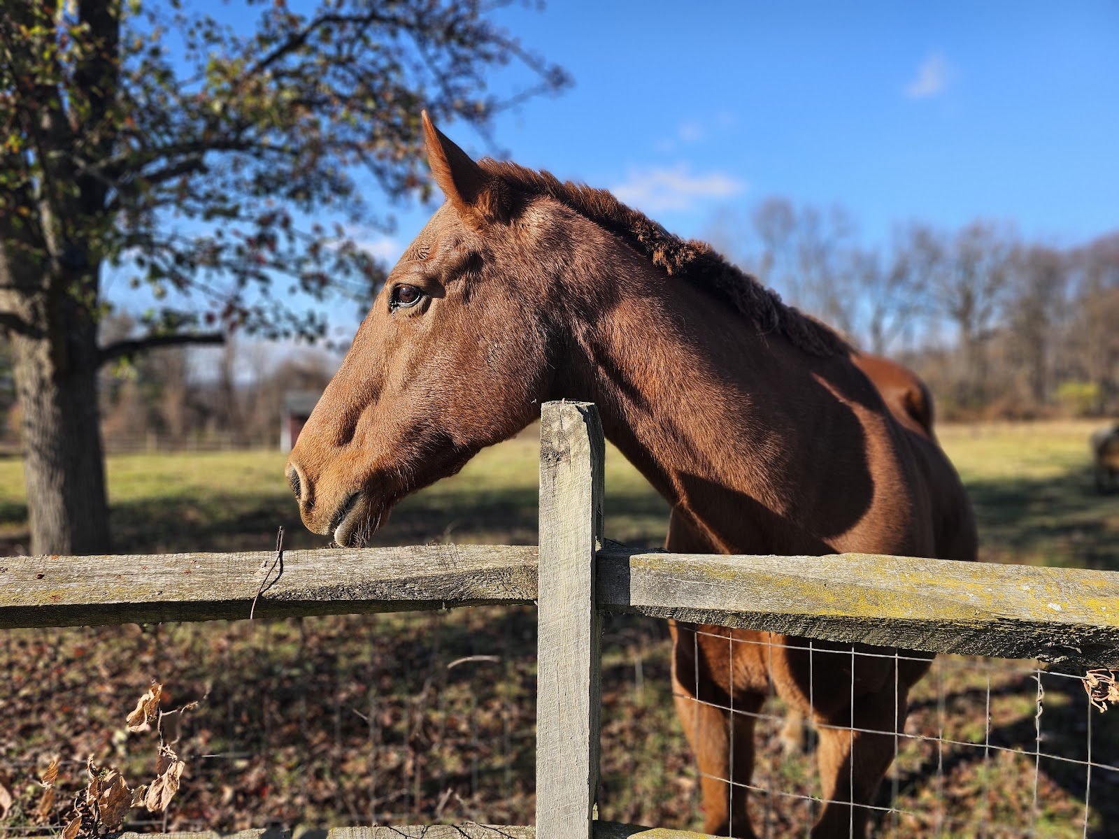 PetPros of Hershey, LLC.