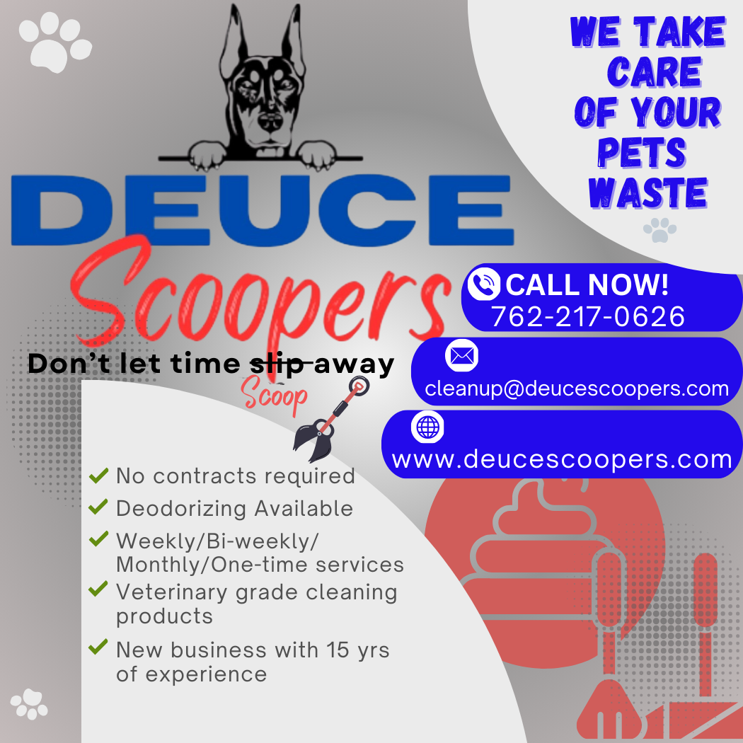 Deuce Scoopers Inc - Photo 3