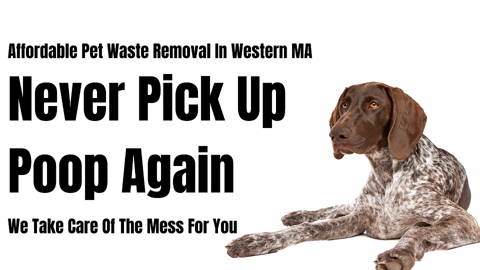 Doody Dashers - Dog Poop Scooping