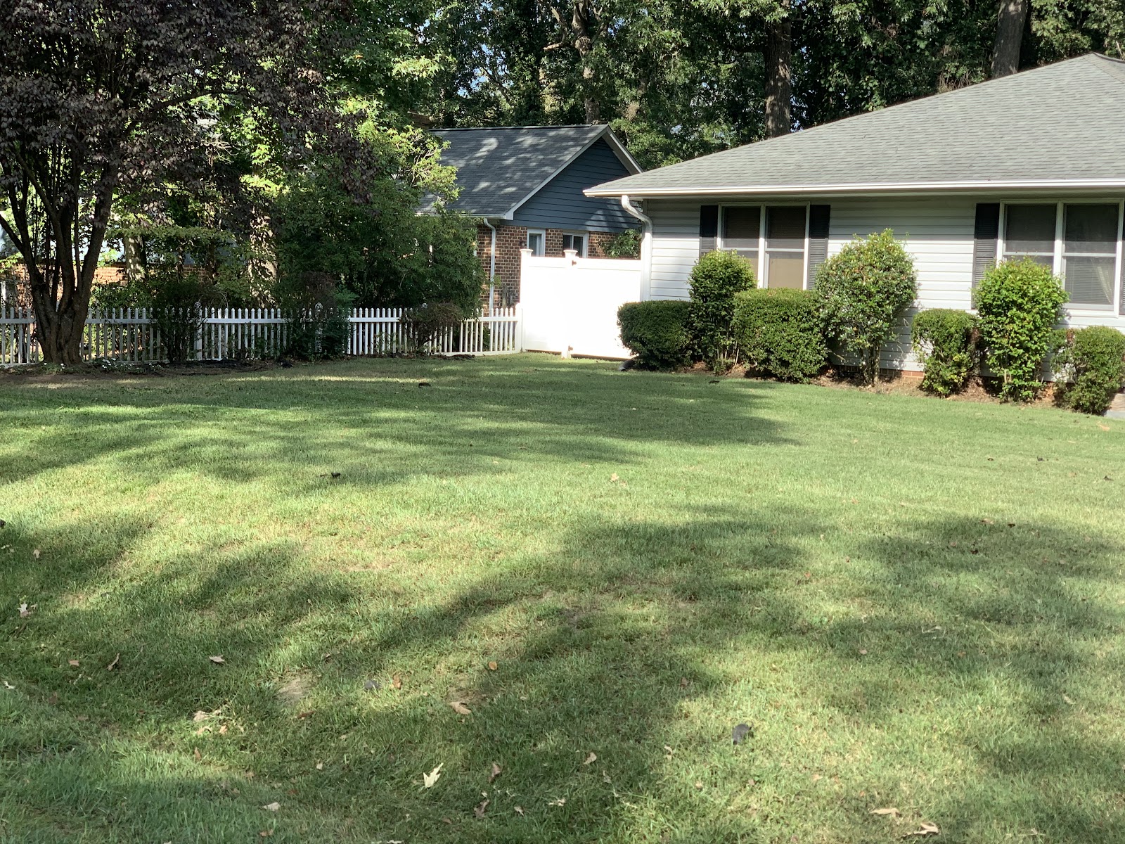 Ridgeview Lawn Care and Pet Waste Removal - Photo 2